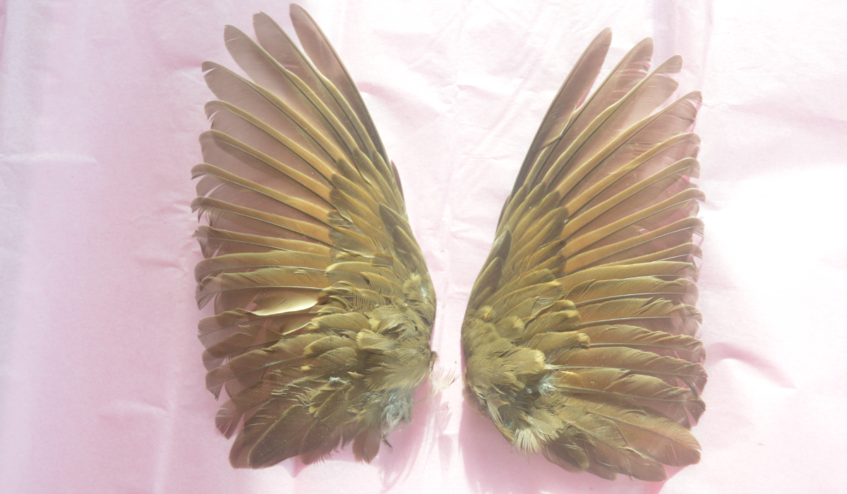 Meditación para la energía femenina, desarrollo personal femenino y yoga online en Bizkaia, País Vasco norte.