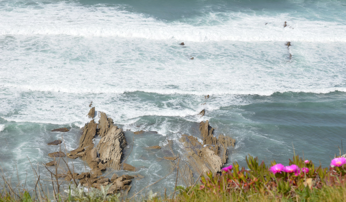 Meditación para la energía femenina, desarrollo personal femenino y yoga online en Bizkaia, País Vasco norte.